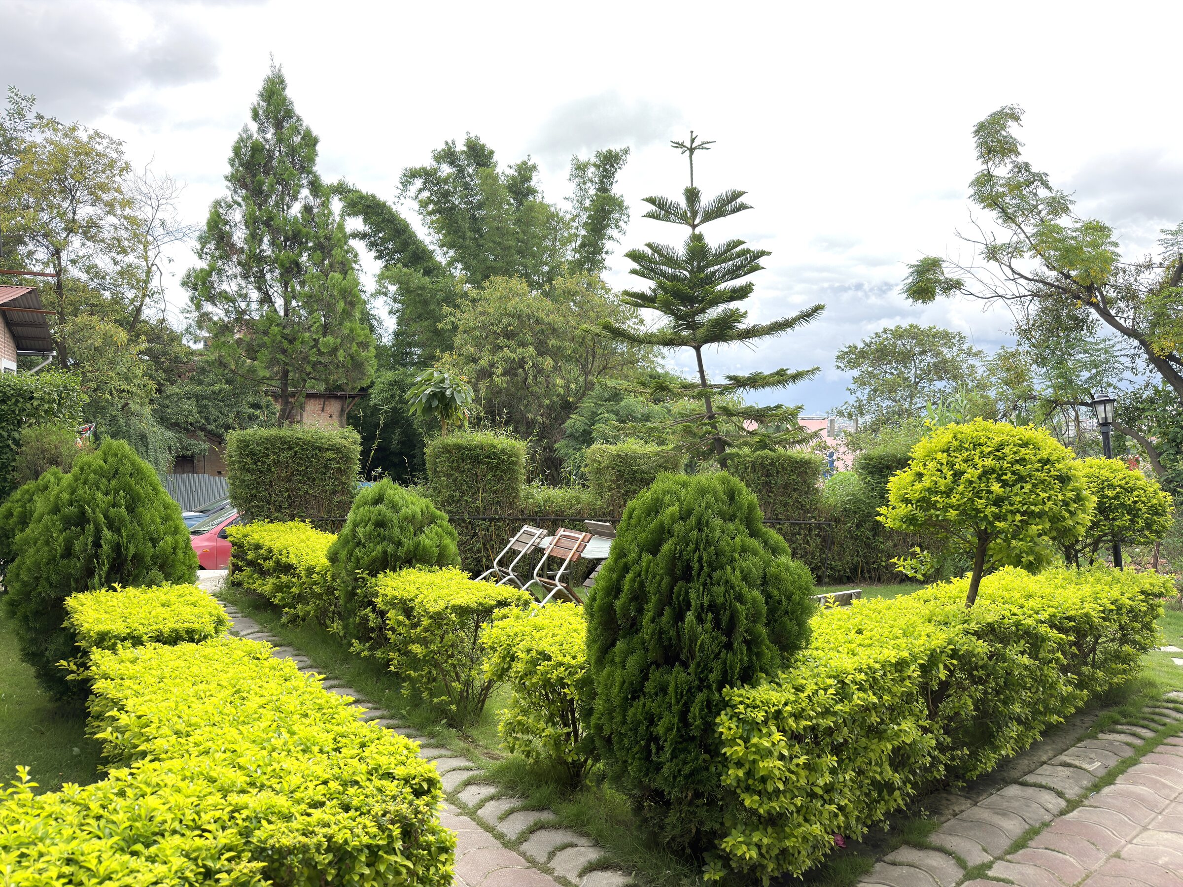 Trimmed hedges and pine along a stone garden path